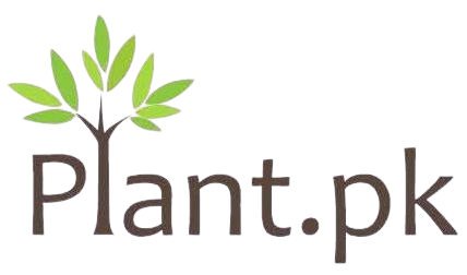 Plant.Pk